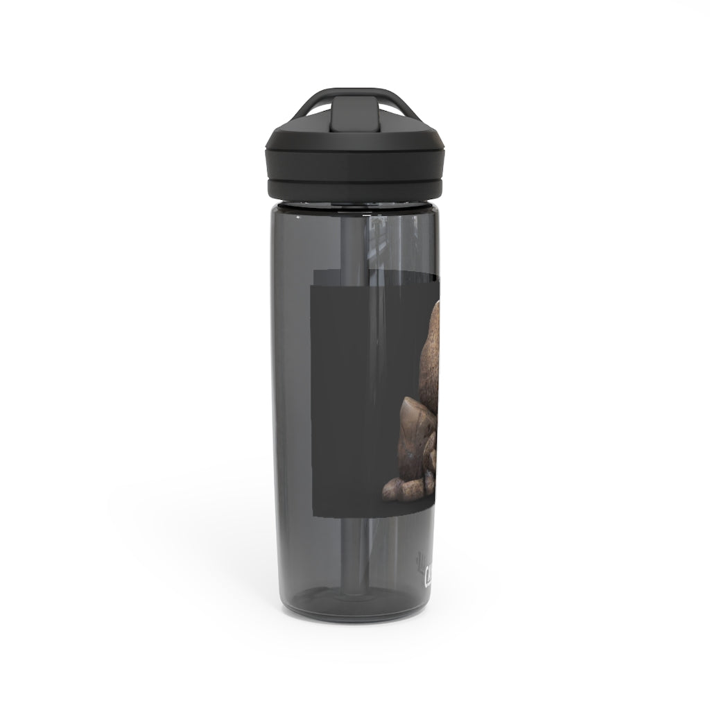 Rocks CamelBak Eddy® Water Bottle in 20oz and 25oz sizes, showcasing its durable Tritan™ material and spill-proof design.